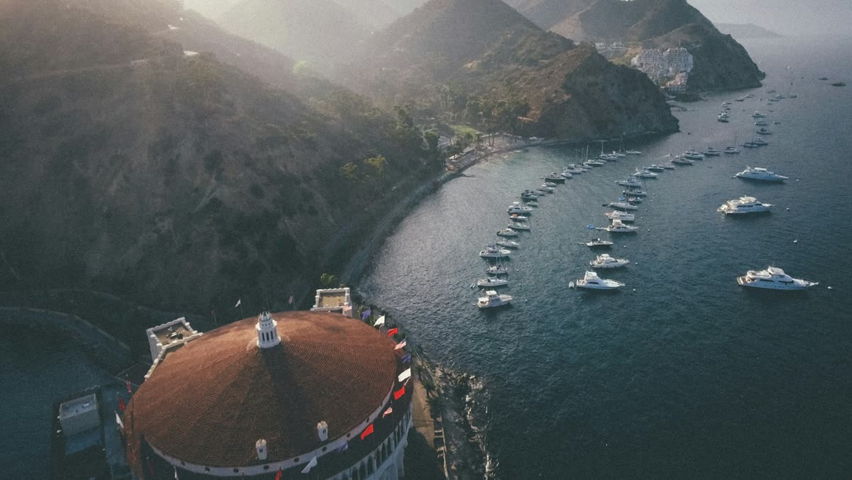 Photography by Danny Avila