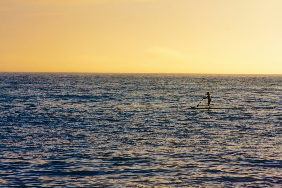 Photography by Danny Avila