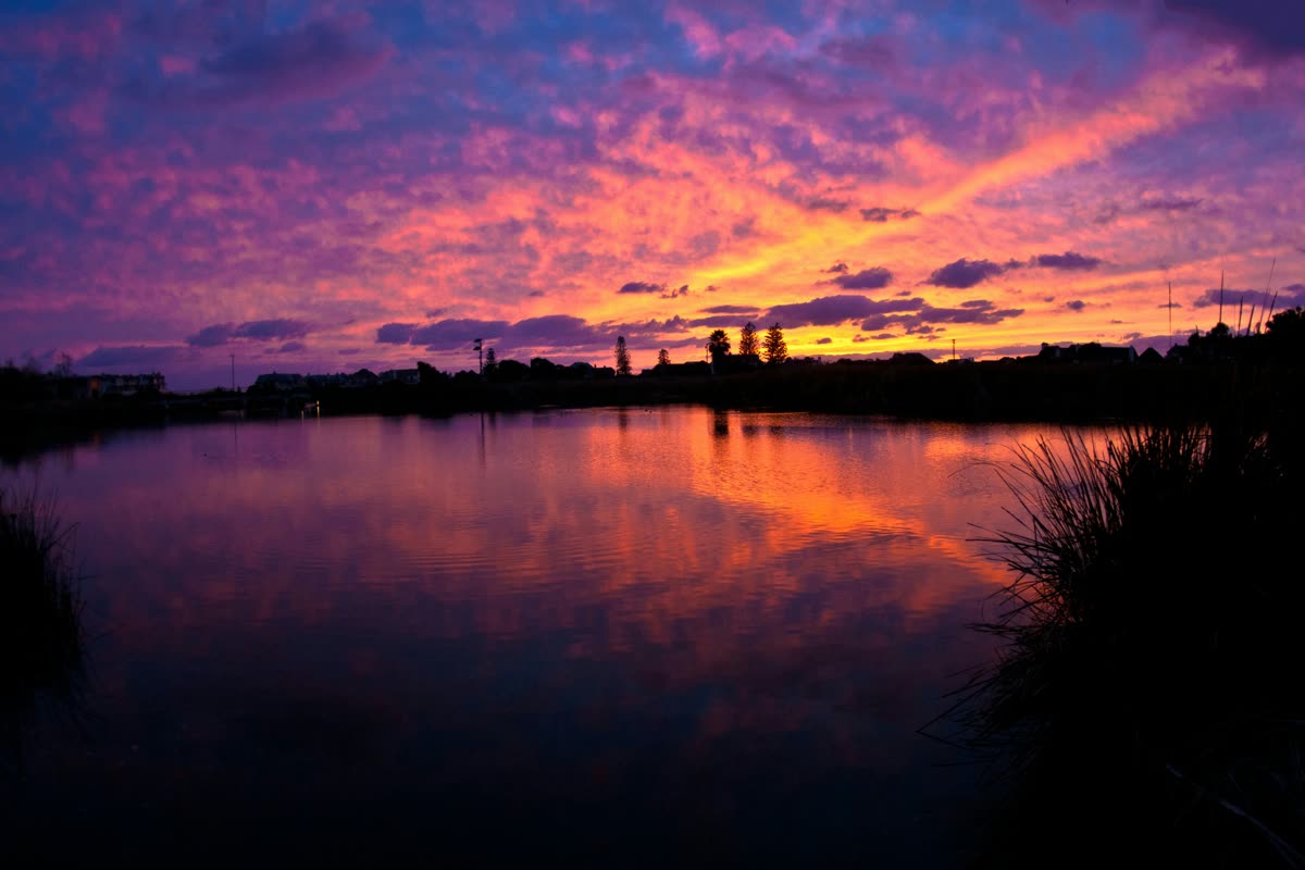 Photography by Danny Avila